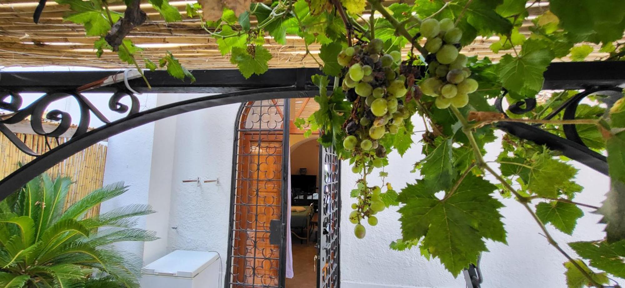 Quietness Bed & Breakfast Вико Екуензе Екстериор снимка